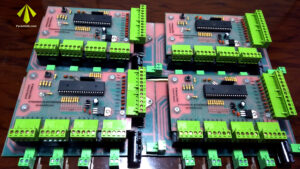 specific body system